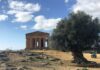 Il premio “Turismi accessibili” al Parco della Valle dei Templi di Agrigento