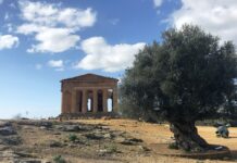 Il premio “Turismi accessibili” al Parco della Valle dei Templi di Agrigento