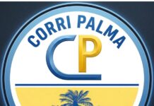Verso le amministrative: Eugenio D’Orsi eletto Commissario del movimento “Corri Palma”
